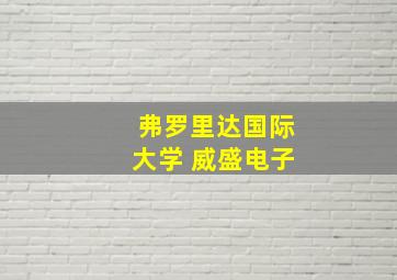 弗罗里达国际大学 威盛电子